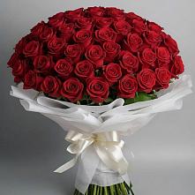 Букет 101 Красная роза Блэк Мэджик в Березовом