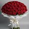 Букет 101 Красная роза Блэк Мэджик в Березовом