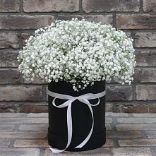 Цветочная композиция из Гипсофила в шляпной коробке в Березовом